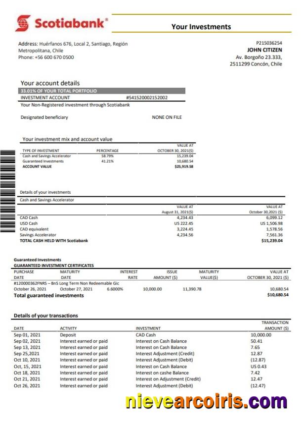 Chile Scotiabank statements